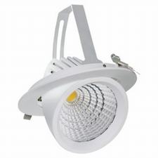 LED Tronco Luzes