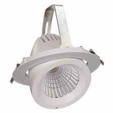 LED Tronco Luzes