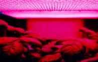 LED vermelho para aumentar a matéria vegetal
